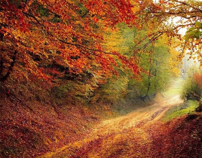 hotel giżycko opinie